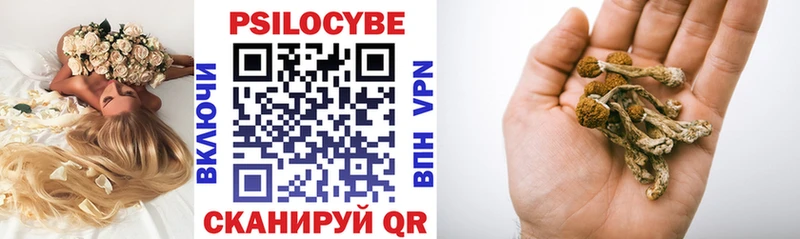 дарнет шоп  Липки  KRAKEN как войти  Галлюциногенные грибы Psilocybe 